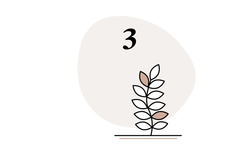 Etape 3